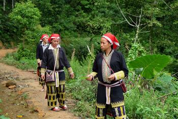 Members of the ethnic Dao minority in Lao Cai Province, Viet Nam, go into the forest to pick and gather medicinal herbs and plants.