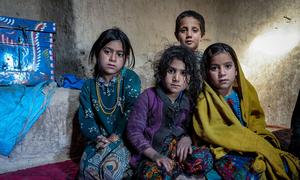 ہمت آباد، فراہ، افغانستان میں خشک سالی اور غذائی عدم تحفظ سے متاثرہ ایک خاندان کے چار بچے، اپنے ایک کمرے کے گھر میں سرخ قالین پر بیٹھے، WFP کھانے کے راشن کا انتظار کر رہے ہیں۔ بائیں سے دائیں: کھر بی بی، رضیہ، زکیرہ، اور نسیم۔ وہ خشک سالی کی وجہ سے نقل مکانی پر مجبور خاندان کا حصہ ہیں۔