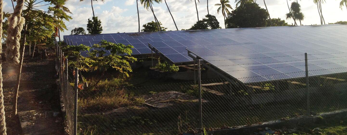 Solar panels installed on a fenced plot in Tokelau, a group of three atolls in the South Pacific, with palm trees in the background under a blue sky with white clouds.