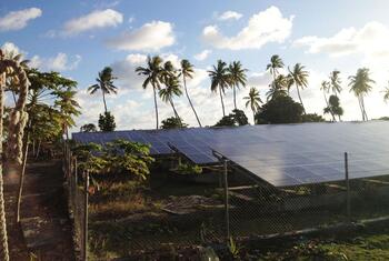 Solar panels installed on a fenced plot in Tokelau, a group of three atolls in the South Pacific, with palm trees in the background under a blue sky with white clouds.