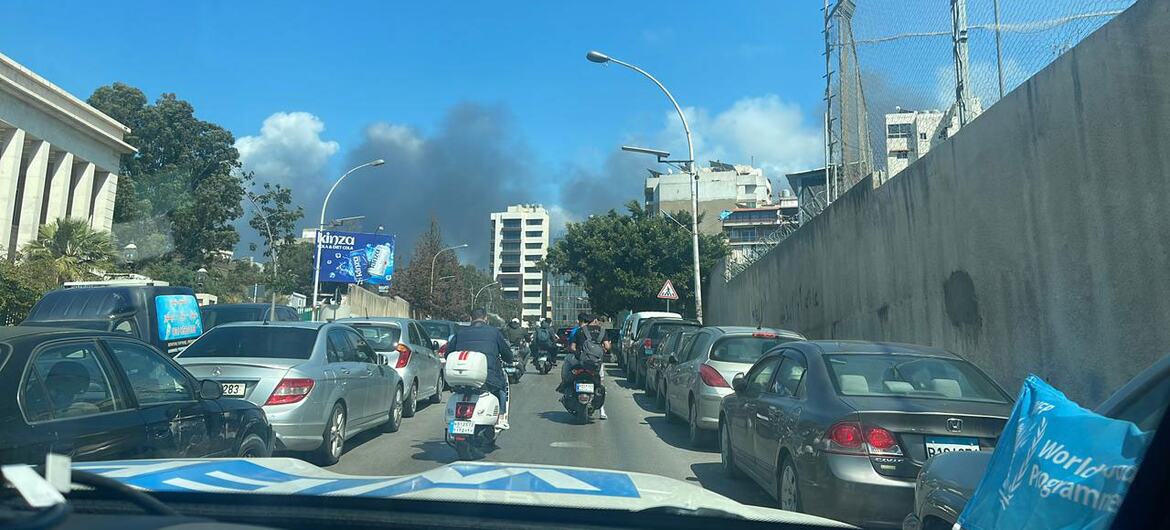 media:entermedia_image:142fdc3e-e1dc-4045-8362-155d6d1f6baa