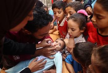 A baby receives the polio vaccine during an immunization campaign in Gaza in October 2024. (file)