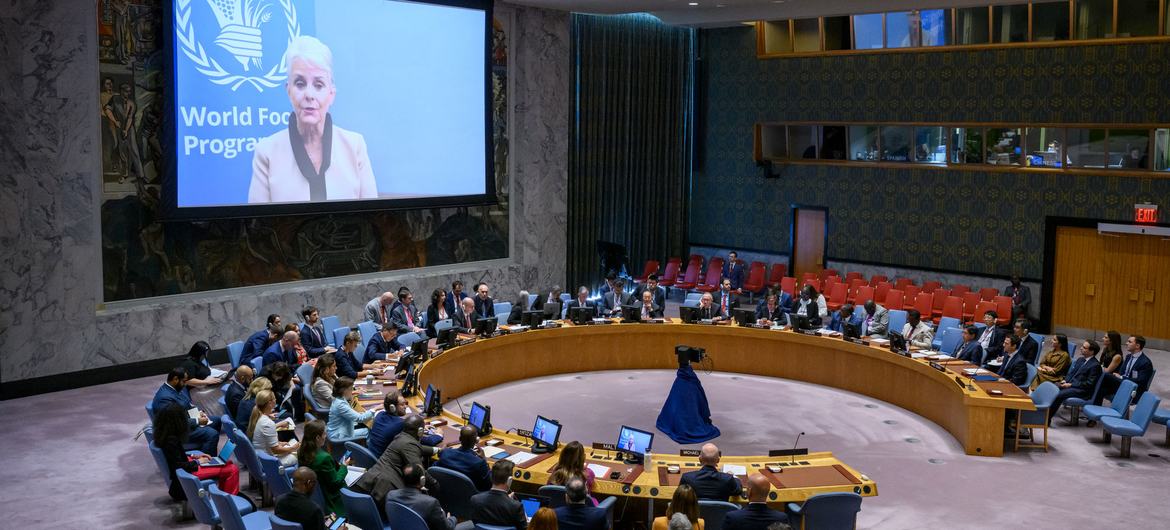 Cindy McCain (on screen), Executive Director of the World Food Programme (WFP), briefs the UN Security Council.