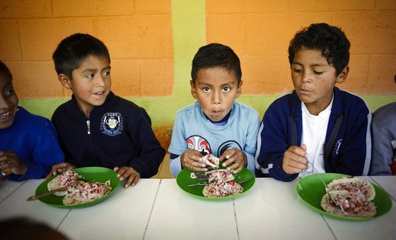 Amerika Latin, Karibia ‘harus meningkatkan’ untuk mengatasi kelaparan yang meningkat: FAO