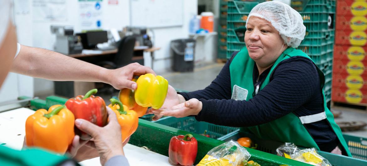 A woman sorts peppers at a factory in Poncitlan, Mexico.