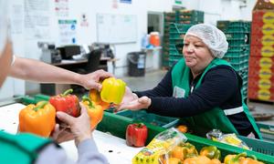 A woman sorts peppers at a factory in Poncitlan, Mexico.