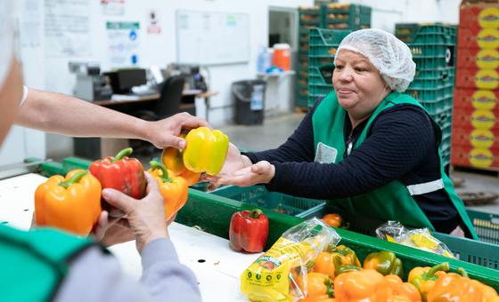 Economisch herstel verliest kracht, waarschuwt arbeidsorganisatie van de VN