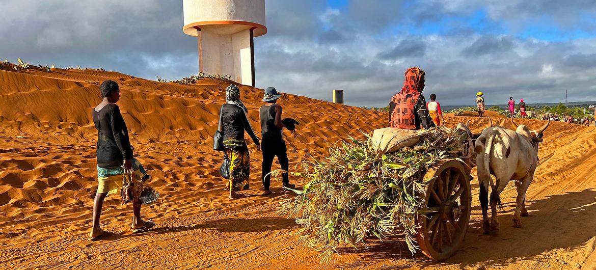 Sand is driven by seasonal winds inland in southern Madagascar.