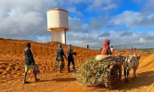 Sand is driven by seasonal winds inland in southern Madagascar.