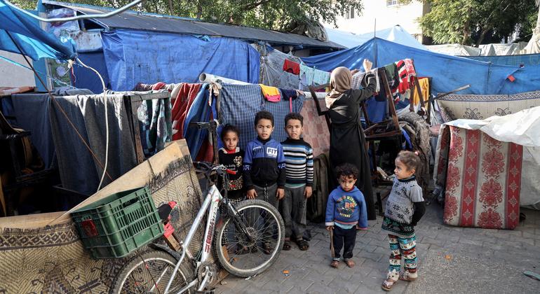 De nombreuses familles vivent dans des abris de fortune à Rafah.