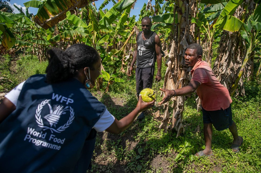Rose Senoviala Desir, del Programa Mundial de Alimentos (PMA), se reúne con unos agricultores en el norte de Haití.