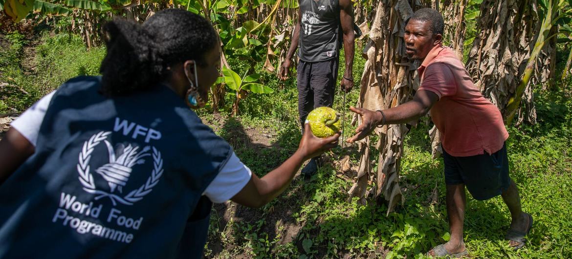 WFP's Rose Senoviala Desir meets farmers in the north of Haiti.