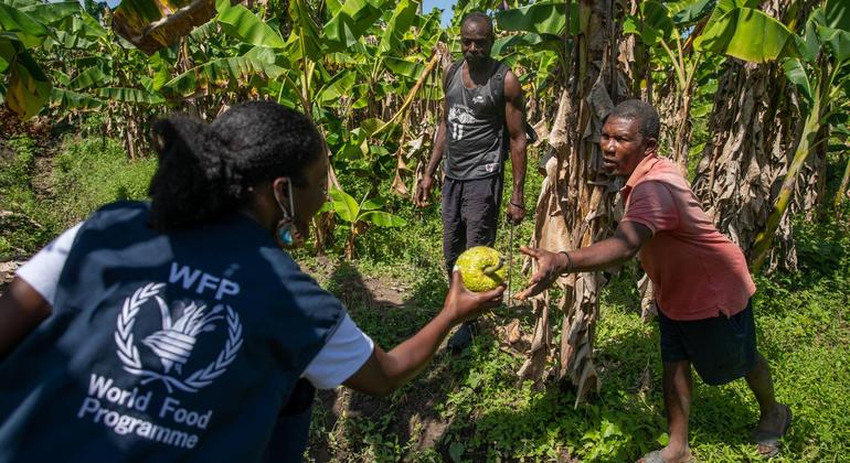 WFP's Rose Senoviala Desir meets farmers in the north of Haiti.