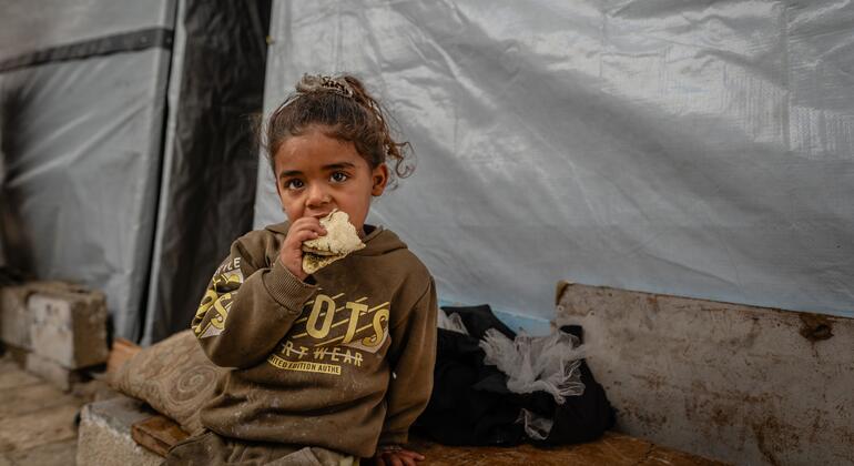 المساعدات الأممية إلى غزة مستمرة - ومقتل 33 فلسطينيا في الضفة الغربية خلال العام الحالي