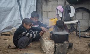 Niños palestinos desplazados en Gaza. (Feb 2025)