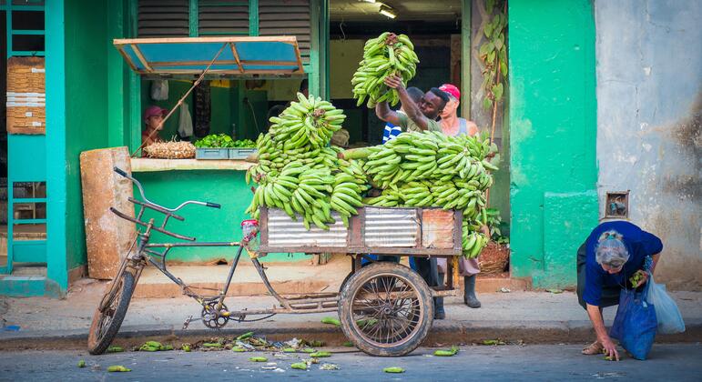 Vendedores callejeros en La Habana, Cuba, cargan un carrito triciclo con grandes racimos de plátanos verdes frente a una tienda de color turquesa.