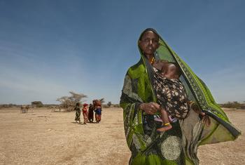 La sécheresse au Kenya (photo) et dans d'autres pays de la Corne de l'Afrique touche les femmes et les enfants les plus vulnérables.