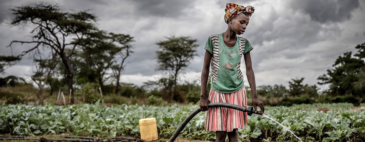 An agro-pastoralist woman waters a crop in Amudat, Uganda.