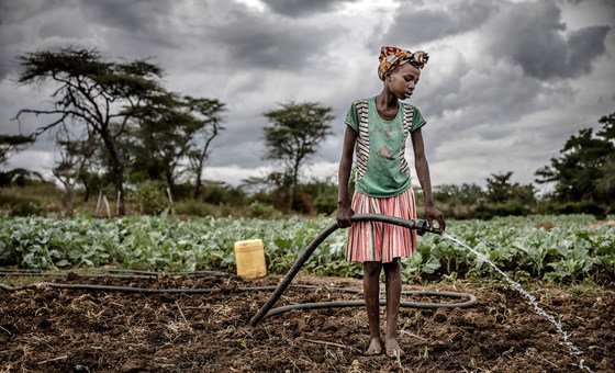 Une jeune fille arrose le sol qu'elle cultive à Amudat, en Ouganda.