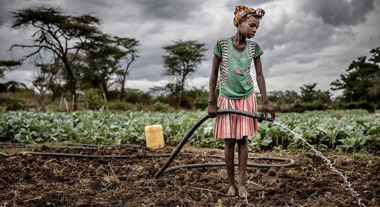 在乌干达的阿穆达特，一位农妇在给庄稼浇水。