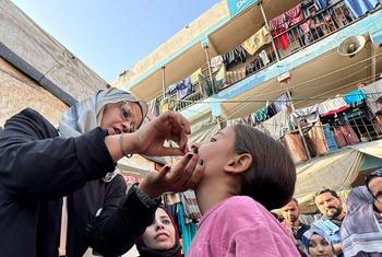 A Unrwa e parceiros iniciaram a segunda rodada da campanha de vacinação contra a poliomielite em Gaza