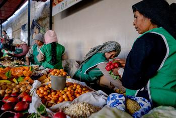 Las agricultoras ecuatorianas venden y comercializan sus productos orgánicos en la feria comunitaria Pachamama Nos Alimenta en Cotacachi, Ecuador.