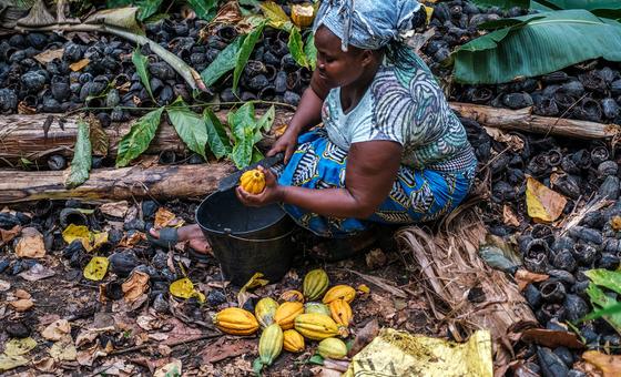 $31 trillion debt is holding back developing countries, UN trade summit hears thumbnail