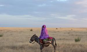 A person dressed in traditional purple clothing is riding a donkey across dry grasslands.