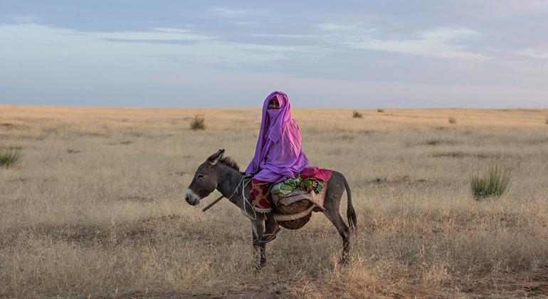 Over a billion fear losing land and homes within five years