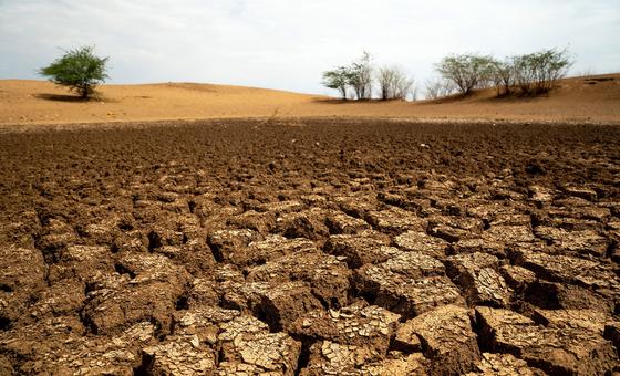 По оценкам ФАО, в районах с деградированными землями урожайность снижается примерно на 10 процентов. 