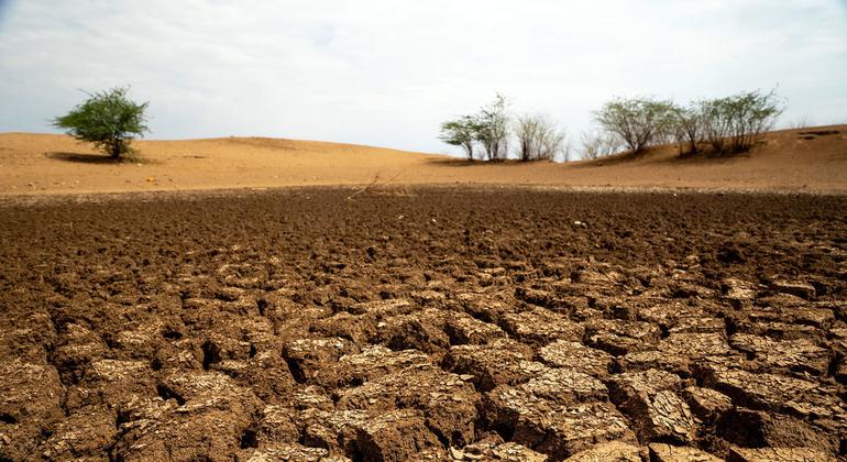 По оценкам ФАО, в районах с деградированными землями урожайность снижается примерно на 10 процентов. 