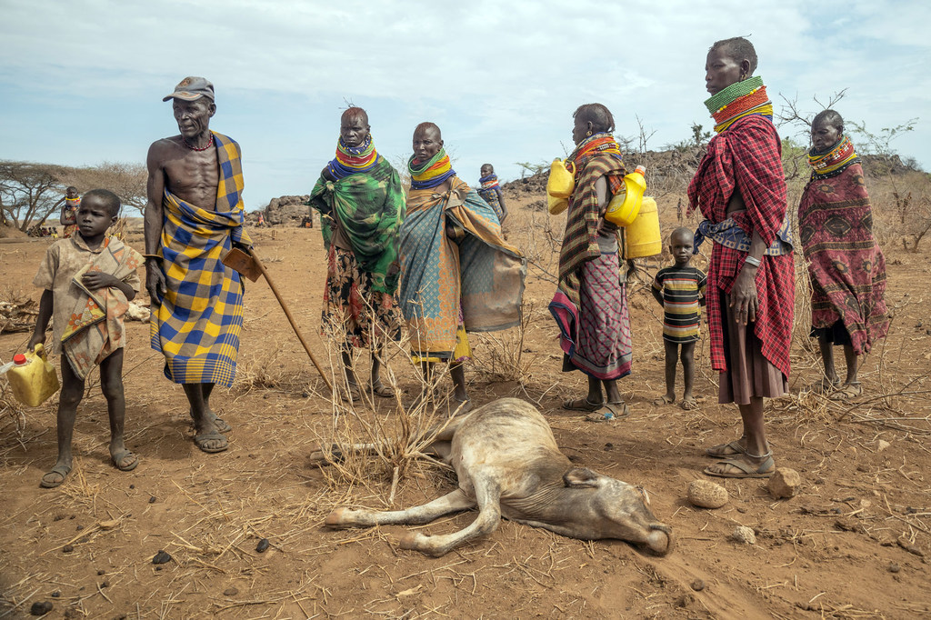 People living in Turkana in northern Kenya are dealing with the impact of drought. People living in Turkana in northern Kenya are dealing with the impact of drought.