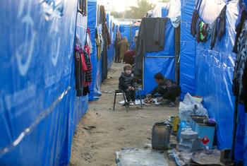 Les familles de Gaza continuent de vivre dans des abris de fortune.