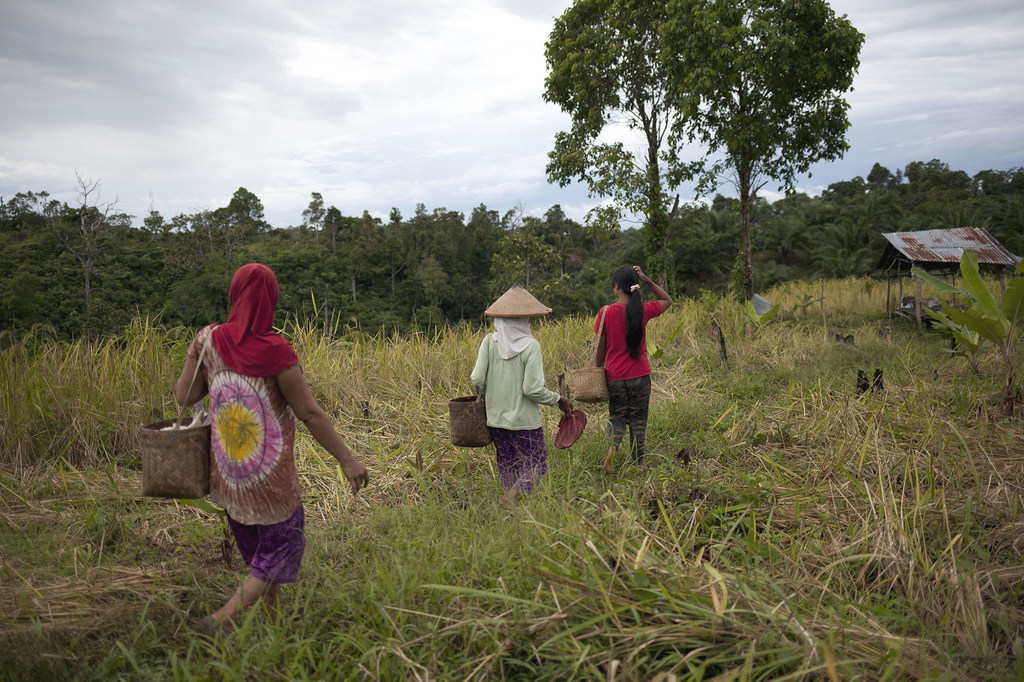 Polisi hutan betina bekerja dengan masyarakat setempat untuk membantu mencegah kejahatan terhadap satwa liar di Indonesia.