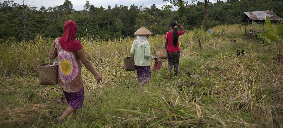 Las mujeres guardabosques ayudan a erradicar los delitos contra la fauna salvaje en Indonesia colaborando con las comunidades locales.