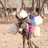 Le Darfour reste en proie à une crise humanitaire.