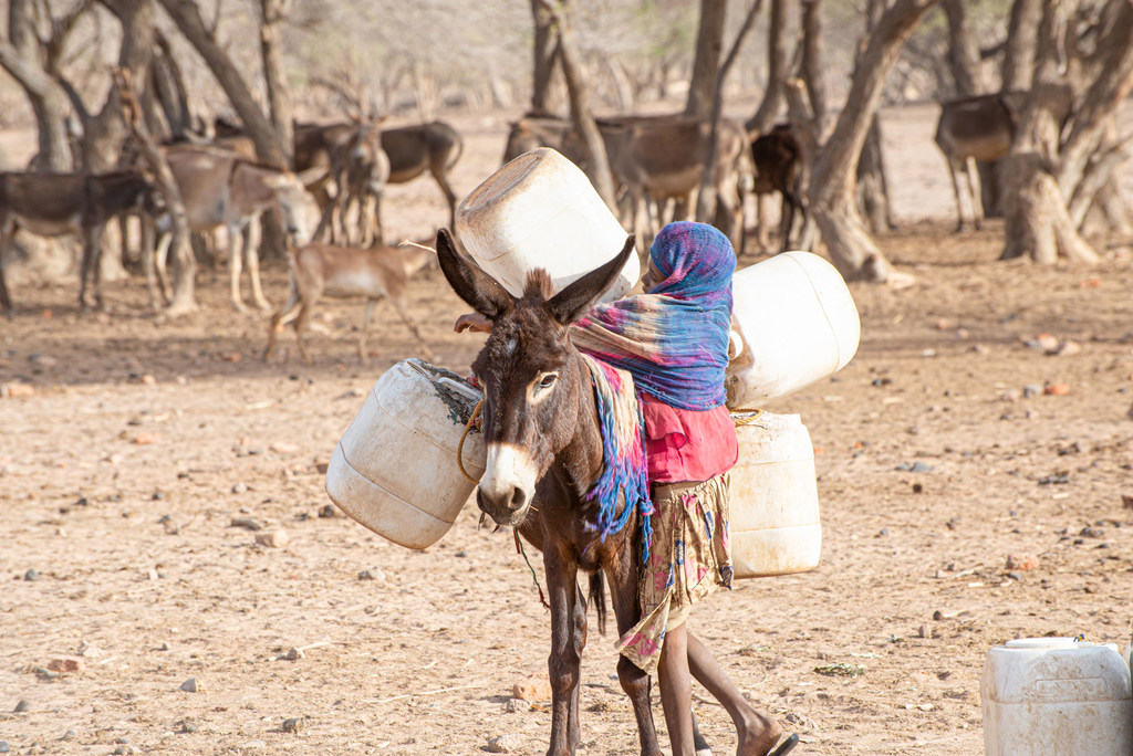 Le Darfour reste en proie à une crise humanitaire.