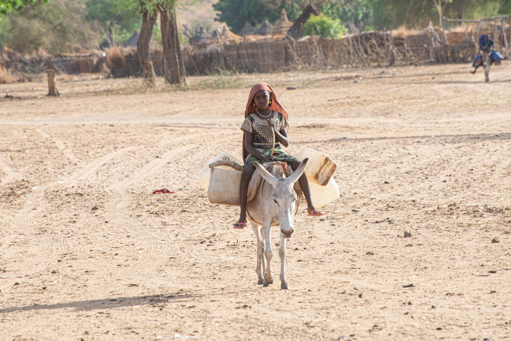 Une jeune fille va chercher de l'eau à Al-Serif, à environ 25 km d'Umm Dukhun, au Darfour central.