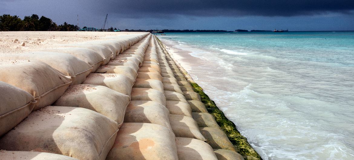 Sacos de areia ao redor do perímetro da "Terra Recuperada", uma área construída em Tuvalu para proteger a terra da erosão causada pelo mar