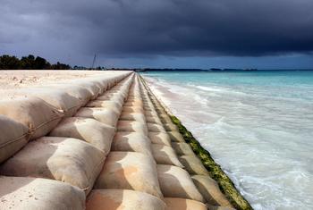 Sacos de areia ao redor do perímetro da "Terra Recuperada", uma área construída em Tuvalu para proteger a terra da erosão causada pelo mar