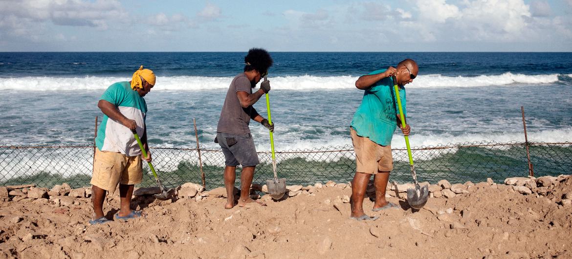Trabajadores construyen barreras para combatir la erosión marina a lo largo de la costa de Tuvalu.
