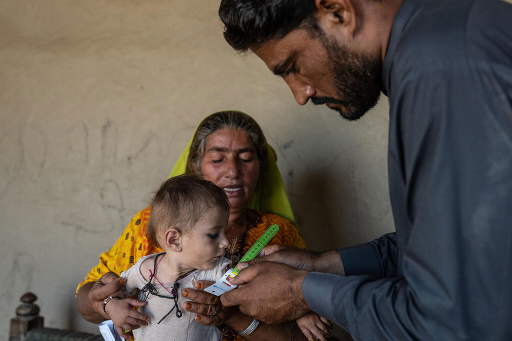 Sahil, de 8 meses, es cuidado por su abuela, Son Bhari, en Saleh Shah, provincia de Sindh, Pakistán.
