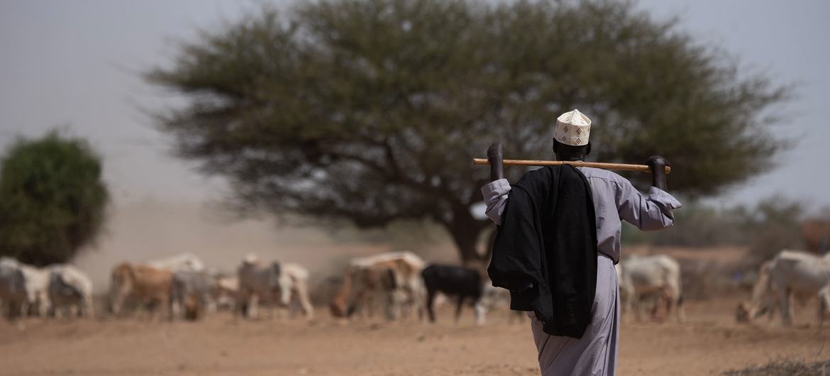 La región somalí de Etiopía se ha visto gravemente afectada por la sequía.