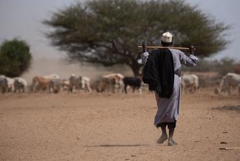 La región somalí de Etiopía se ha visto gravemente afectada por la sequía.