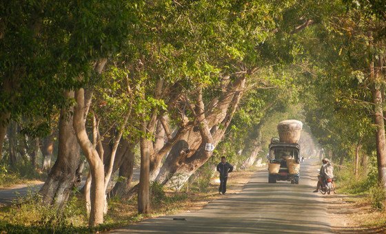 Conditions have 'worsened' in Myanmar following a military coup in February 2021, according to a UN human rights rapporteur.