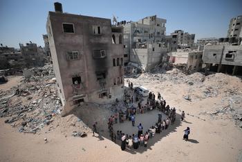 ɳشĶͯڲμϹԱ֯