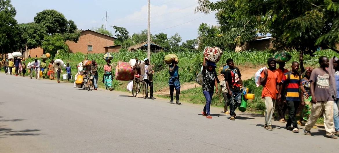 media:entermedia_image:01208178-aa11-40d8-a147-4989442128a3