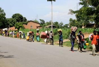 media:entermedia_image:745f5c2d-b983-4a2b-b6f0-b532d790532c