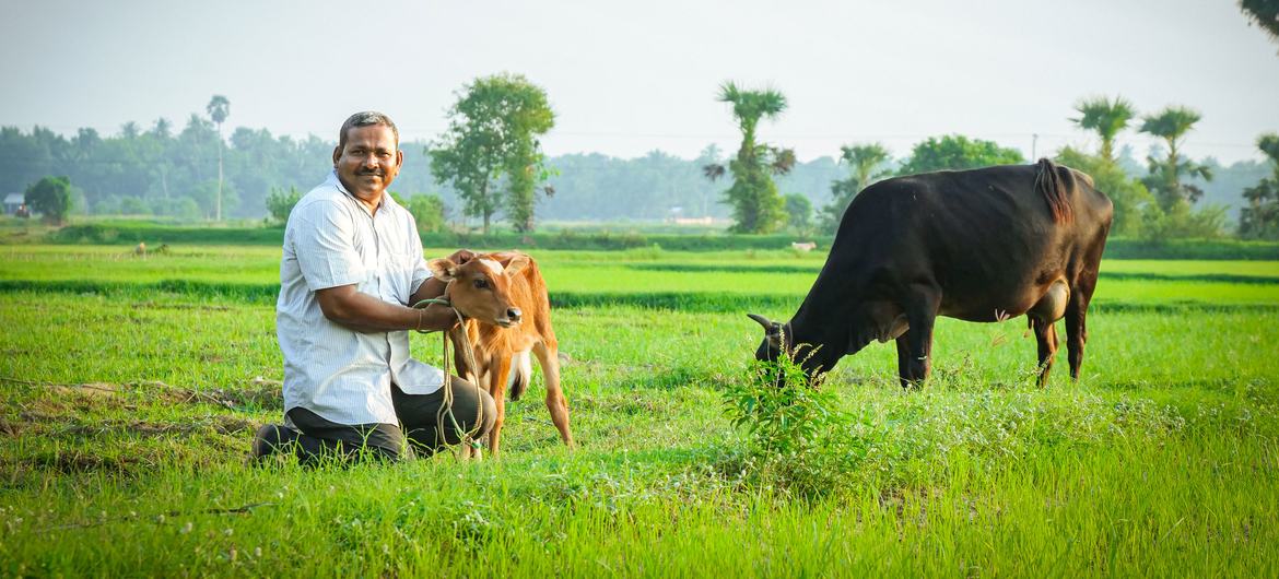 誇り高い農場主であるセルバンさんは、スリランカの経済危機の間、家畜を維持するのに苦労しました。