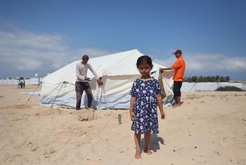 غزہ میں نقل مکانی پر مجبور ایک خاندان رفح میں سر چھپانے کے لیے خمیہ لگا رہا ہے۔